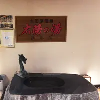 大田原温泉　日帰り館太陽の湯・ホテル龍城苑の写真・動画_image_186744