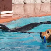 那須どうぶつ王国の写真・動画_image_186856