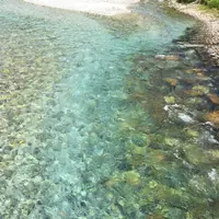 上高地梓川の清流の写真・動画_image_187486