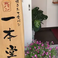 一本堂 杉並高円寺店の写真・動画_image_187504