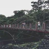 城ヶ崎海岸の写真・動画_image_187603