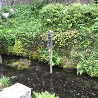 居醒の清水の写真・動画_image_188045