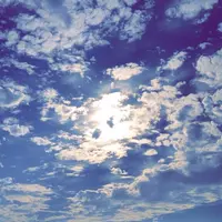 豆酘崎の写真・動画_image_188128