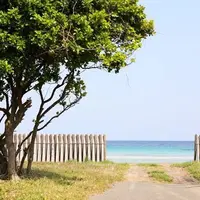 茂木浜海水浴場の写真・動画_image_188146