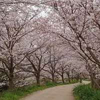 対馬市教育委員会美津島地区公民館の写真・動画_image_188164