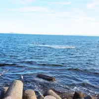 南知多町の写真・動画_image_188253