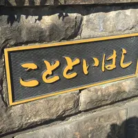 言問橋の写真・動画_image_188555