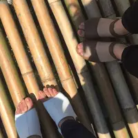 新鵜沼駅の写真・動画_image_188741