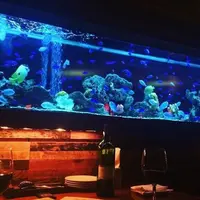 新宿ライムの写真・動画_image_188803