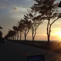 彦根城の写真・動画_image_189155