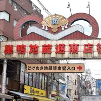 巣鴨地蔵通り商店街の写真・動画_image_189493