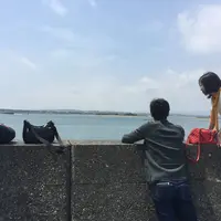 舞阪漁港の写真・動画_image_189973