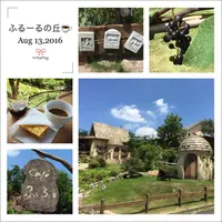 Ｃａｆｅ ふるーるの丘の写真・動画_image_190075