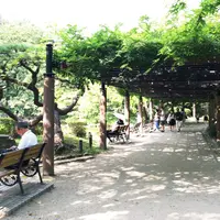 日比谷公園の写真・動画_image_190101