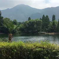 金鱗湖の写真・動画_image_190504