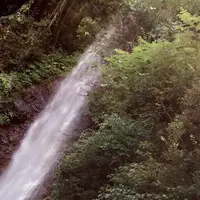 養老の滝の写真・動画_image_190607