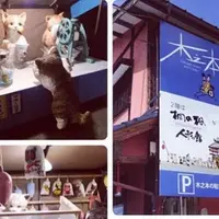 手造り工芸の店　木之本の写真・動画_image_190945