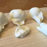 十勝千年の森の写真・動画_image_191236