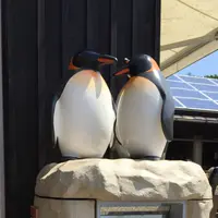 旭川市 旭山動物園の写真・動画_image_191239