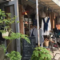 ピボワンヌ （pivoine） の写真・動画_image_191649