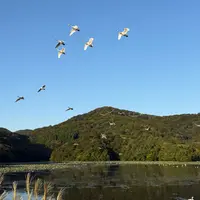 大山下池の写真・動画_image_1917068