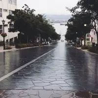 八幡坂の写真・動画_image_192256