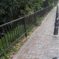 風の散歩道の写真・動画_image_1923536