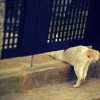 千石の写真・動画_image_192476