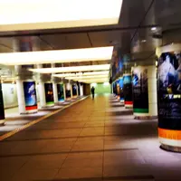行幸地下ギャラリーの写真・動画_image_192645