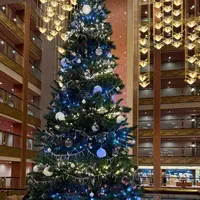 あさやホテルの写真・動画_image_1927159