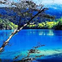 オンネトーの写真・動画_image_192900