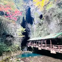 秋芳洞の写真・動画_image_1929785