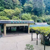 秋芳洞黒谷口の写真・動画_image_1929808