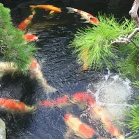 春花園の写真・動画_image_193137