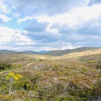 秋吉台若竹山の写真・動画_image_1931513