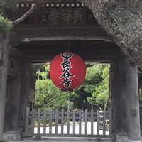 長谷寺の写真・動画_image_193198