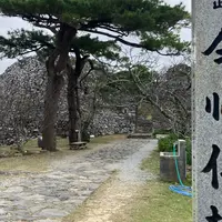 今帰仁城跡の写真・動画_image_1932323