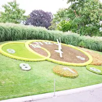 花クロックの写真・動画_image_193367