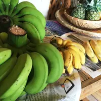 カナンスローファームの写真・動画_image_193509