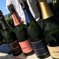 マム・ナパの写真・動画_image_193874