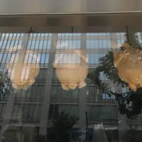 頭バーの写真・動画_image_193979