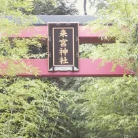 來宮神社の写真・動画_image_194130