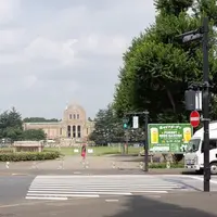 明治神宮外苑いちょう並木の写真・動画_image_194323