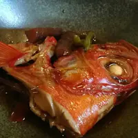 海ぼうずの写真・動画_image_194367