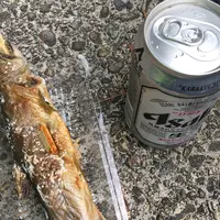 田沢湖遊泳場の写真・動画_image_194467