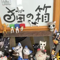 猫の箱の写真・動画_image_194601