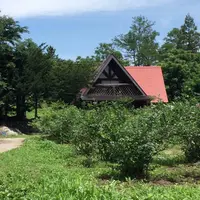 あららぎ園の写真・動画_image_194608