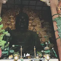 東大寺金堂（大仏殿）の写真・動画_image_194617