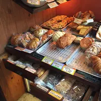 ネコノテパン工場の写真・動画_image_194638