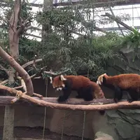 神戸どうぶつ王国の写真・動画_image_194985